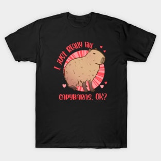 I just really like capybaras OK? T-Shirt